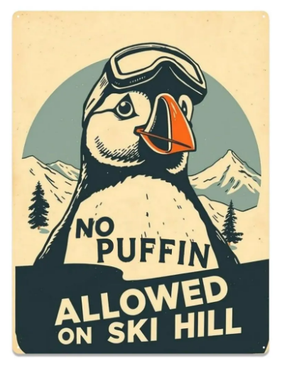 Affiche en métal en fer blanc rectangulaire 12 pouces par 16 pouces Panneau en métal Décor Pas de macareux sur la piste de ski
