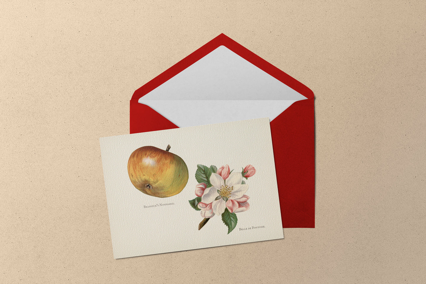 Sac surprise sur le thème de la Pomme. Contient une variété d'articles sur le thème des pommes ! Un mélange d'articles faits main et sélectionnés avec soin.